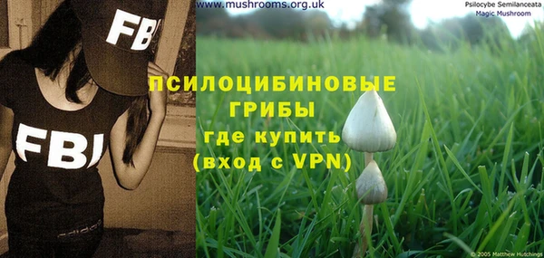 PSILOCYBIN Алзамай