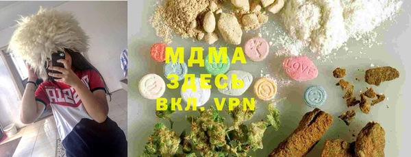PSILOCYBIN Алзамай