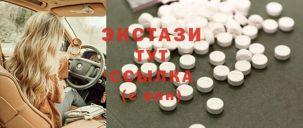 хмурый Алексин